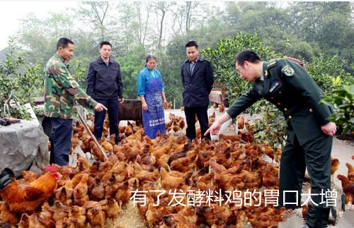 酱油渣处置后能够做为饲料