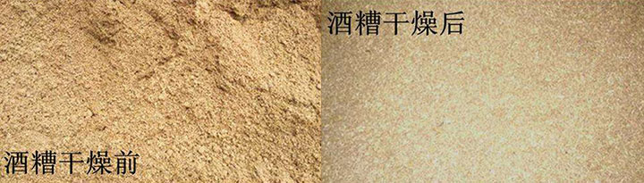 白酒糟烘干前后成效对比图