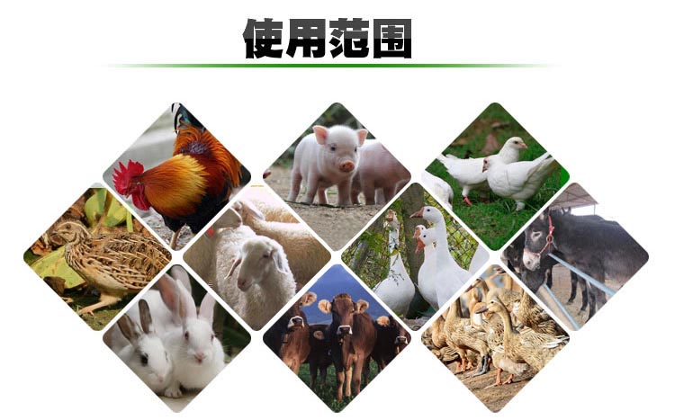 烘干后啤酒糟物料的用处