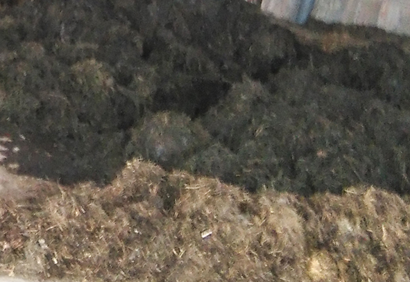 药渣介绍 药渣介绍